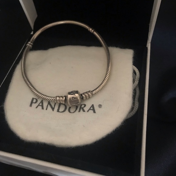 Pandora Bracelet + Charms and Cleaning Kit - Picture 2 of 4